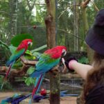 Experience the Brazilian Falls & Bird Park on a Guided Tour - Transportation and Logistics