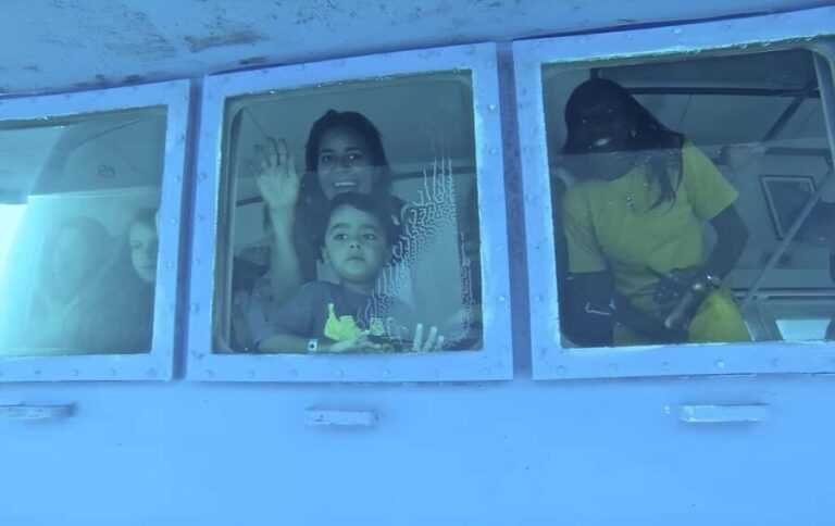 Experience the Exciting Caribbean Underwater World - The Sum Up