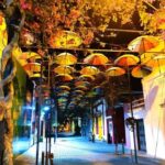 Experience the Nightlife: Puerto Plata + Sosua + Cabarete - The Sum Up