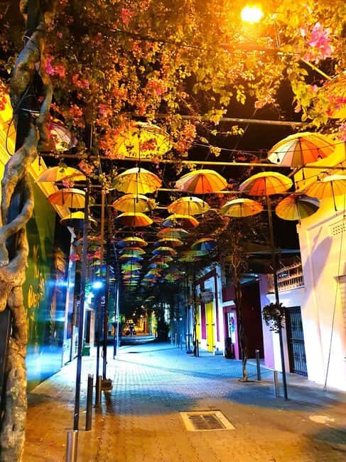 Experience the Nightlife: Puerto Plata + Sosua + Cabarete - The Sum Up