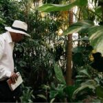 Explore / A Historic Walking Tour - The Sum Up