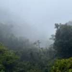 Explore and Learn on a tour of the Magic Monteverde Cloud Forest - The Detailed Experience of the Monteverde Cloud Forest Tour