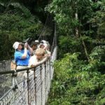 Explore Arenal - One Day Tour Mistico+ Waterfal+ Lunch+ Volcano - The Practical Details: What You Need to Know