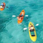Explore Aruba Coastline with Kayaking Tour - A Detailed Look at the Aruba Kayak & Snorkeling Experience
