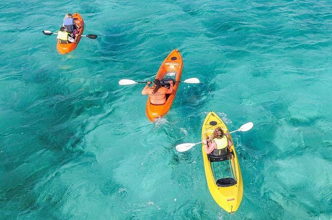 Explore Aruba Coastline with Kayaking Tour - A Detailed Look at the Aruba Kayak & Snorkeling Experience