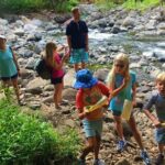 Explore Authentic Guadeloupe with a Local Multilingual Guide - A Deep Dive into the Guadeloupe Experience