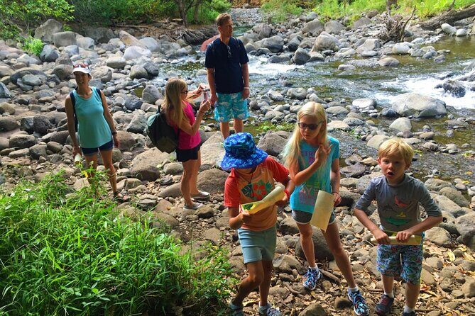 Explore Authentic Guadeloupe with a Local Multilingual Guide