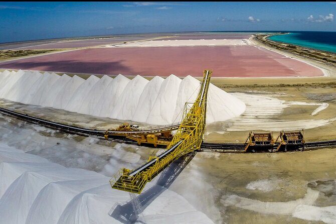 Explore Bonaire: North & South Tour - Transportation and Timing