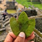 Explore Machu Picchu in One Day: Panoramic 360° Luxury Train - Detailed Tour Review