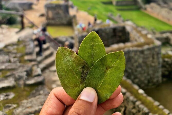Explore Machu Picchu in One Day: Panoramic 360° Luxury Train - Detailed Tour Review