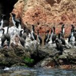 Explore Magical Peru 7D/6N + Hotel 3 Stars - Who Would Love This Tour?