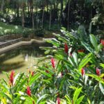 Explore Puerto Plata's Best & Cable Car - Shore Excursion - Who Should Take This Tour?