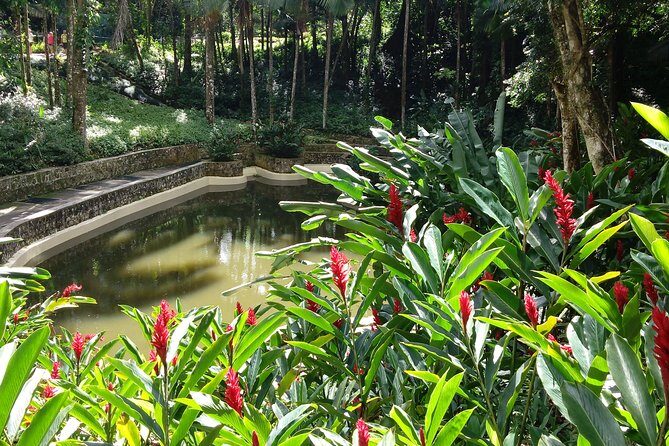 Explore Puerto Plata's Best & Cable Car - Shore Excursion - Who Should Take This Tour?