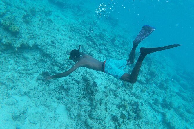 Explore Seven Mile Beach Your Way with Jet Ski Experience - Authentic Traveler Concerns and Realistic Expectations