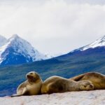 Explore the Beagle Channel: Navigate and Trek the Bridges Islands - A Few Considerations