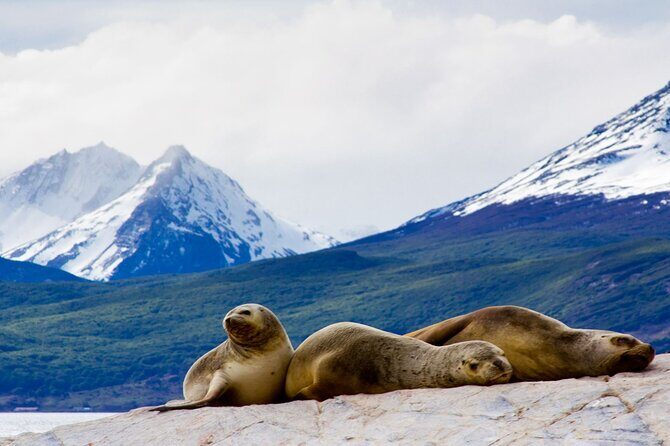 Explore the Beagle Channel: Navigate and Trek the Bridges Islands - A Few Considerations