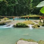 Explore the Beauty of Montego Bay Nature Tour in Jamaica - Who is This Tour Best For?