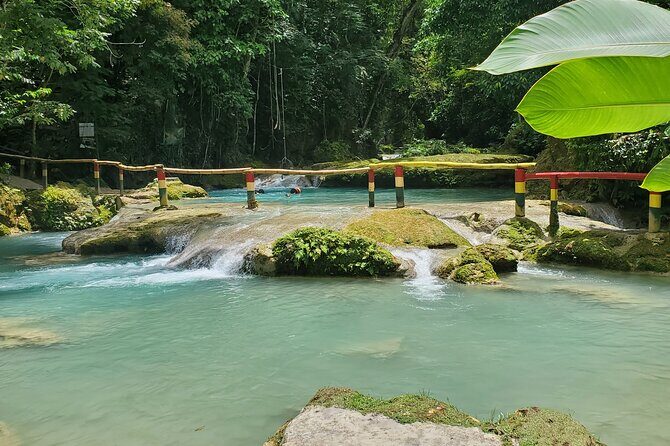 Explore the Beauty of Montego Bay Nature Tour in Jamaica - Who is This Tour Best For?