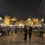 Explore the Catacombs, Lima Main Square & Magic Water Show - Who Should Book This Tour?