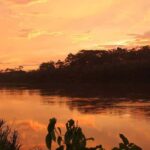 Explore the Feather Festival at the Chuncho clay lick - Transportation and Practical Details