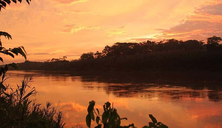 Explore the Feather Festival at the Chuncho clay lick - Transportation and Practical Details