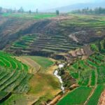 Explore the Loncco Route: Full Day Excursion from Arequipa - A Deep Dive Into the Loncco Route