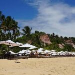 Explore Trancoso: Guided Tour of Local Wonders! - Who Is This Tour Best For?