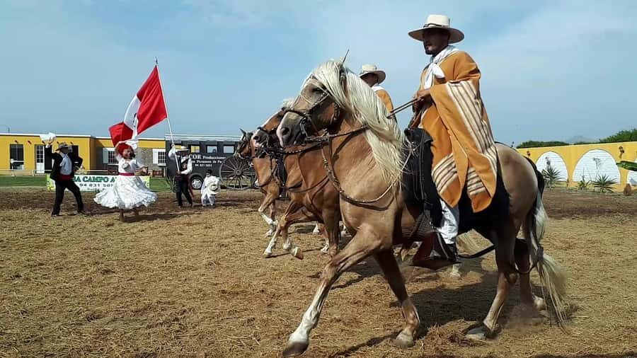 Explore Trujillo: Chan Chan + Horseback Riding + Huanchaco - A Deep Dive into the Experience