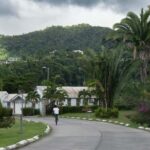 Exploring and Tasting Roseau | Full-Day Tour - A Detailed Look at the Full-Day Tour Experience