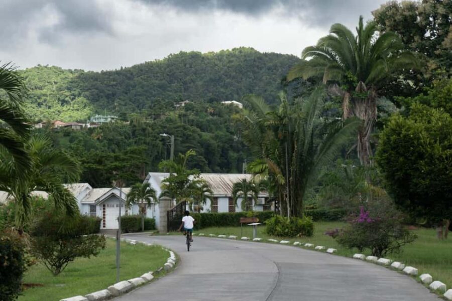 Exploring and Tasting Roseau | Full-Day Tour - A Detailed Look at the Full-Day Tour Experience