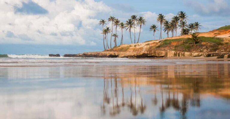 Exploring Lagoinha: 1-Day Tour - Who Is This Tour Best For?