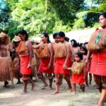 Exploring the Amazon: Adventure Day from Iquitos - Is This Tour Worth the Price?