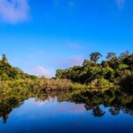 Exploring The Amazon Jungle 3D/2N At Amazon Mamori Lodge - What We Love About This Experience