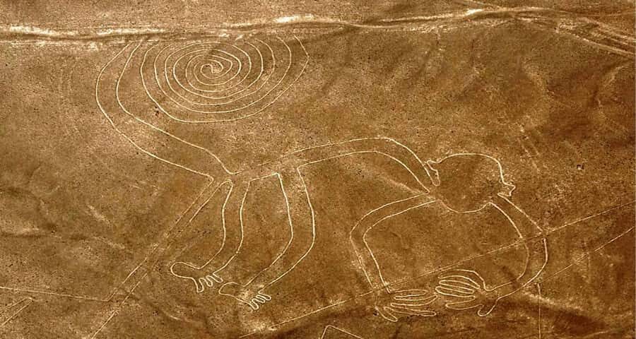 Exploring the Ancient Nazca Lines from the Sky | full day | - What to Expect from the Experience