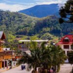 Exploring the Coffee Route: From Oxapampa to Villa Rica - What We Think: Value and Authenticity