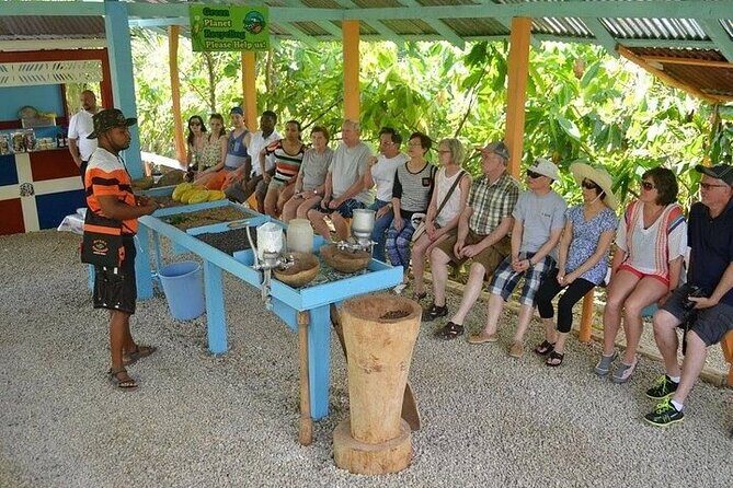 Extreme Buggy Adventure from Punta Cana - Practical Details and What to Expect