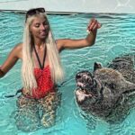 Exuma Day Away - Original Swimming Pigs Excursion - Practical Details for Travelers