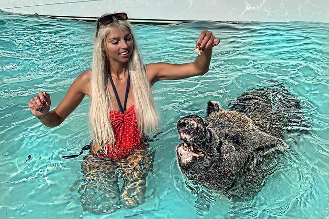 Exuma Day Away - Original Swimming Pigs Excursion - Practical Details for Travelers