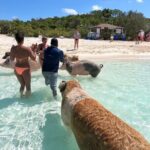 Exuma Full Day Swimming Pigs Group Boat Tour - The Stops: What You’ll See and Do