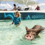 Exuma Powerboat Tour from Nassau with Swimming Pigs - Who Would Love This Tour?