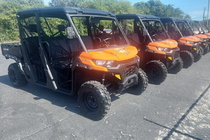 Exuma,Bahamas: 6 Seater Buggy/Jeep Rental with Bluetooth speakers - Who Should Consider This Experience?