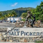 Fabulous Dutch and French Tour - Authentic Experience and Guide Quality