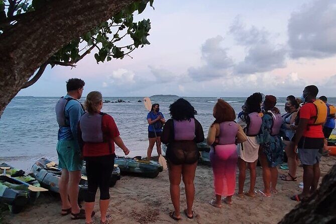 Fajardo Bioluminescent Bay Night Kayak Adventure from San Juan - The Sum Up