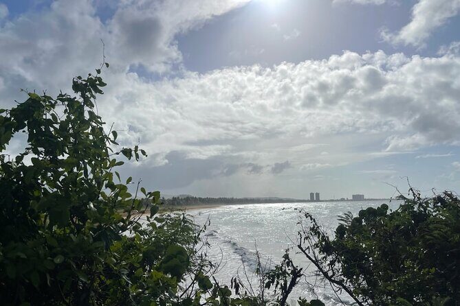 Fajardo Ceiba Ferry Marina Taxi to San Juan Taxi Transportation - What to Expect During Your Ride