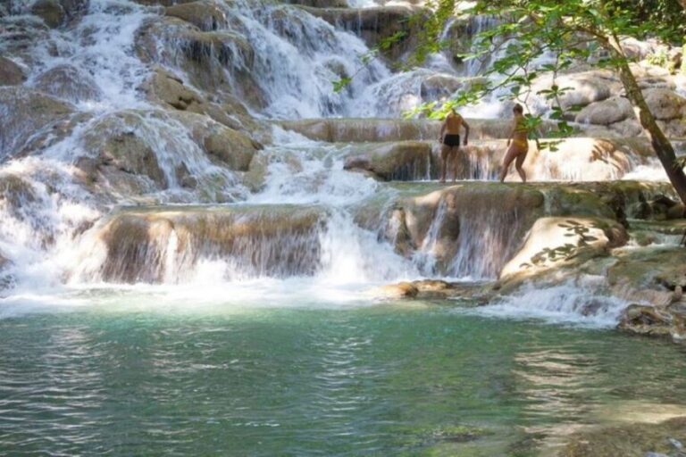 Falmouth: Dunn's River Falls & River Tubing with Lunch - Who Will Love This Tour?