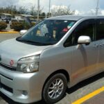 Falmouth Hotels Private Roundtrip Airport Transfer from Kingston Airport (KIN) - Who Should Consider This Transfer?