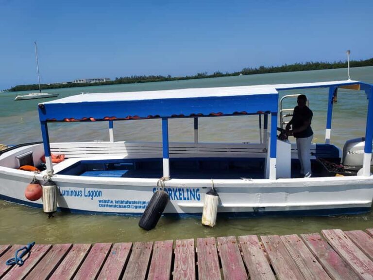 Falmouth: Luminous Lagoon Boat Tour - Final Thoughts