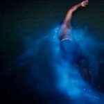 Falmouth: Luminous Lagoon Night Experience - Final thoughts