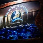 Falmouth Mystic from Montego Bay Luminous Lagoon Night Tour - Who Should Consider This Tour?