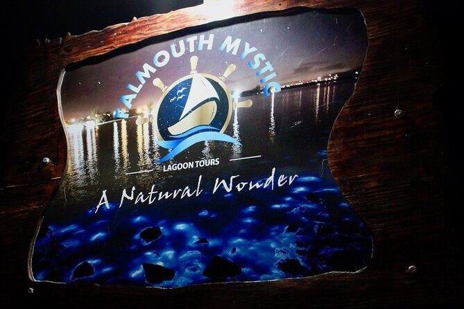 Falmouth Mystic from Montego Bay Luminous Lagoon Night Tour - Who Should Consider This Tour?